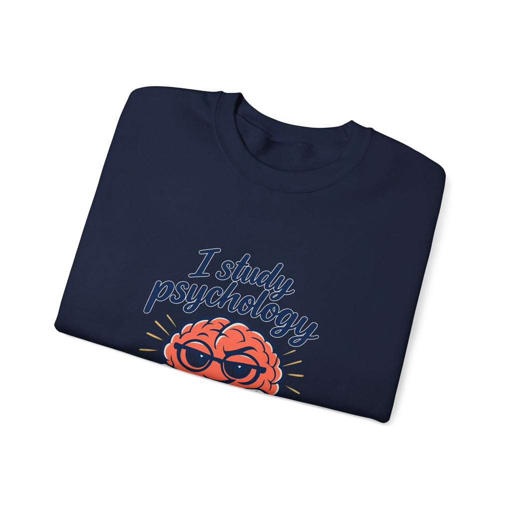 I Study Psychology Sweatshirt | office humor, work from home