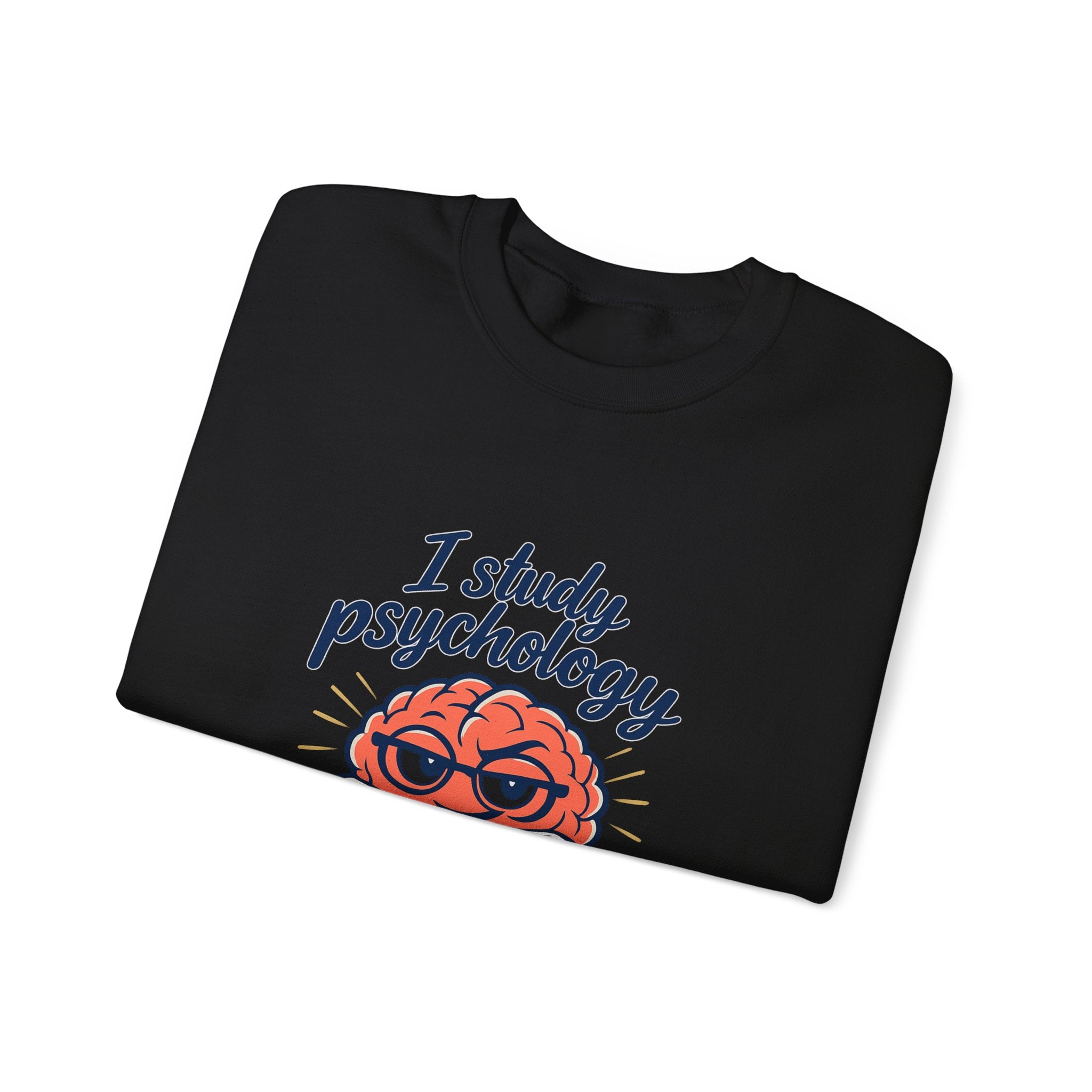 I Study Psychology Sweatshirt | office humor, work from home