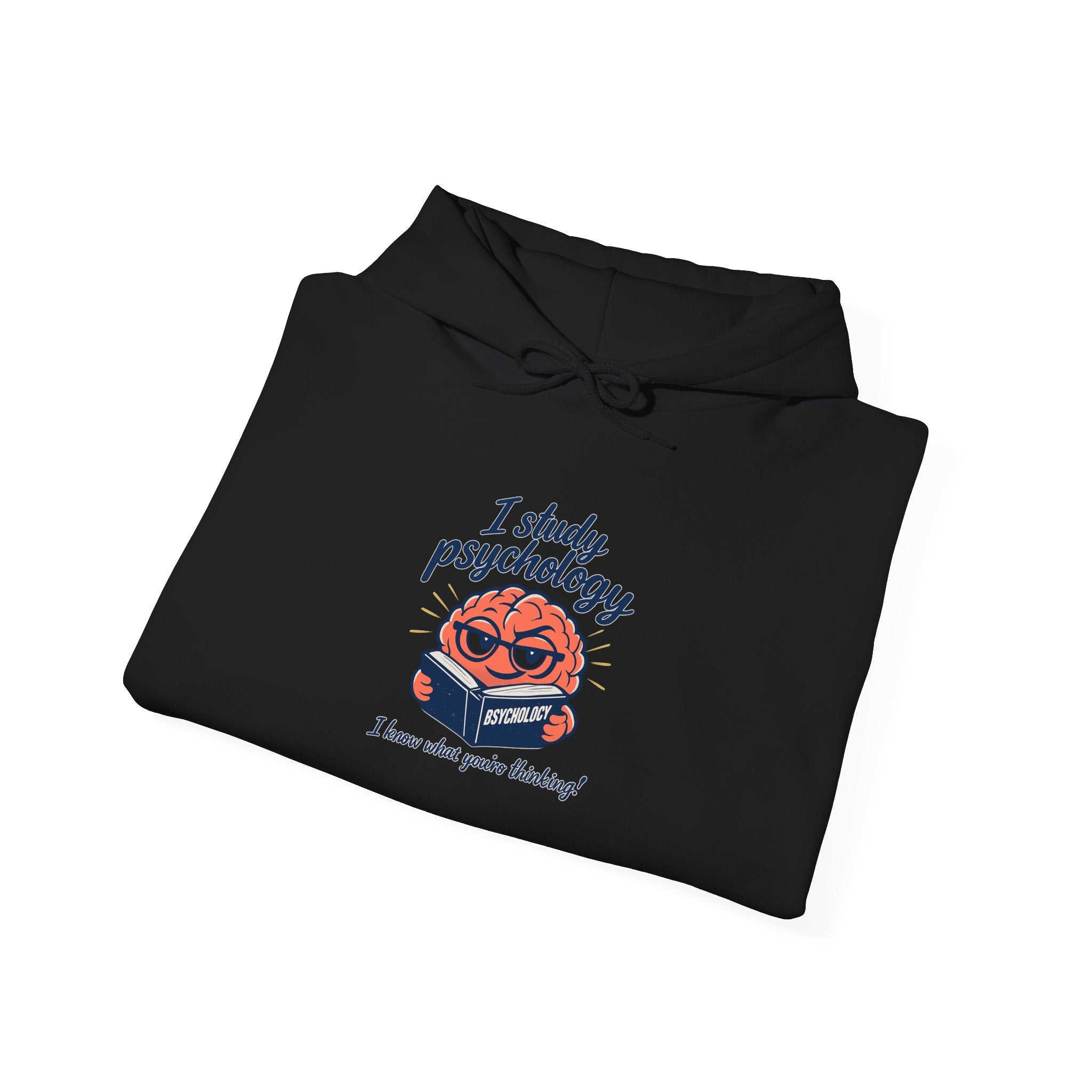 I Study Psychology Hoodie | office humor, meeting memes