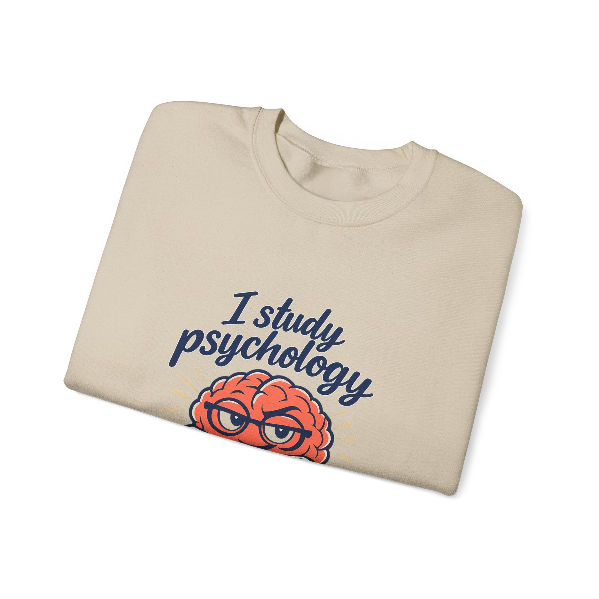 I Study Psychology Sweatshirt | office humor, work from home