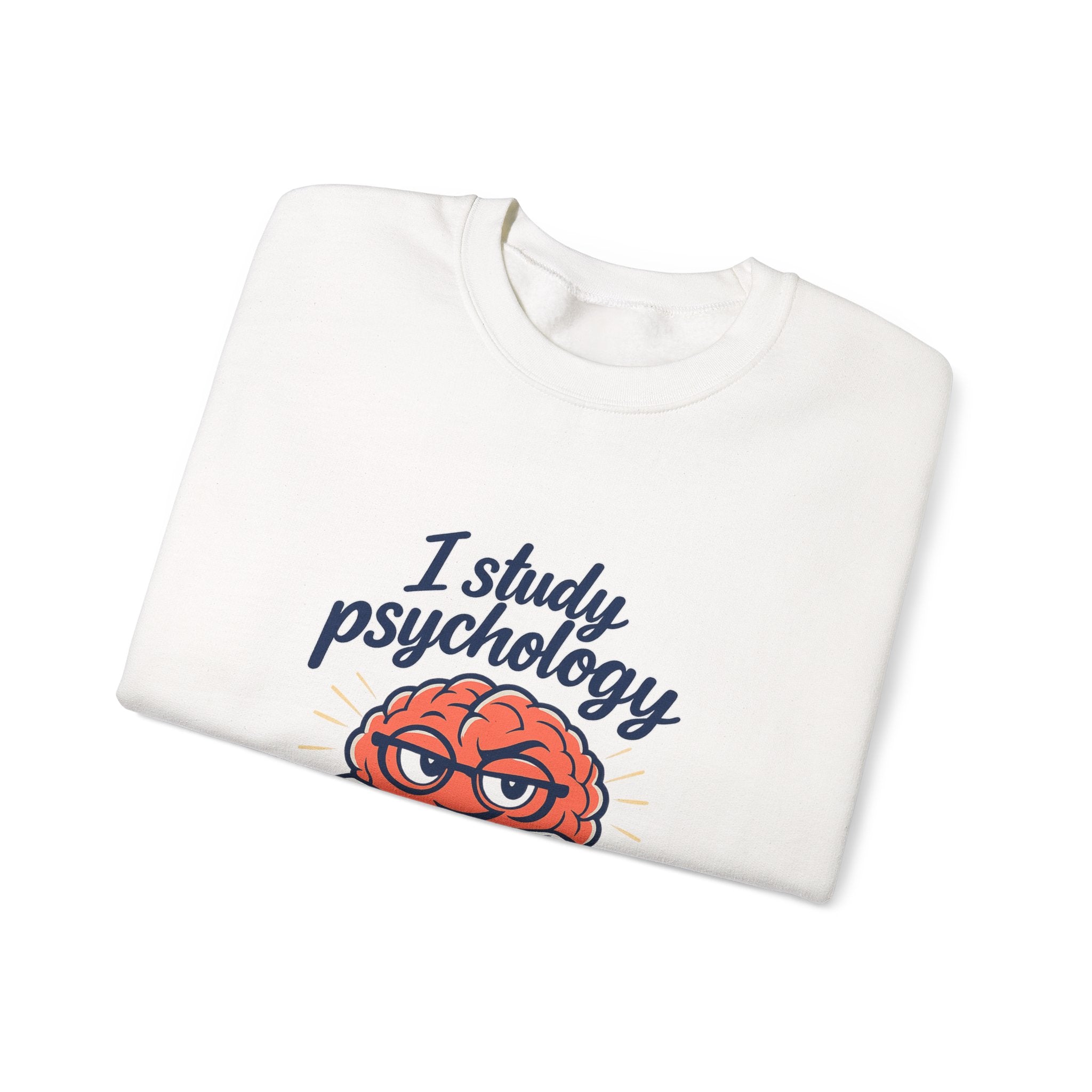 I Study Psychology Sweatshirt | office humor, work from home