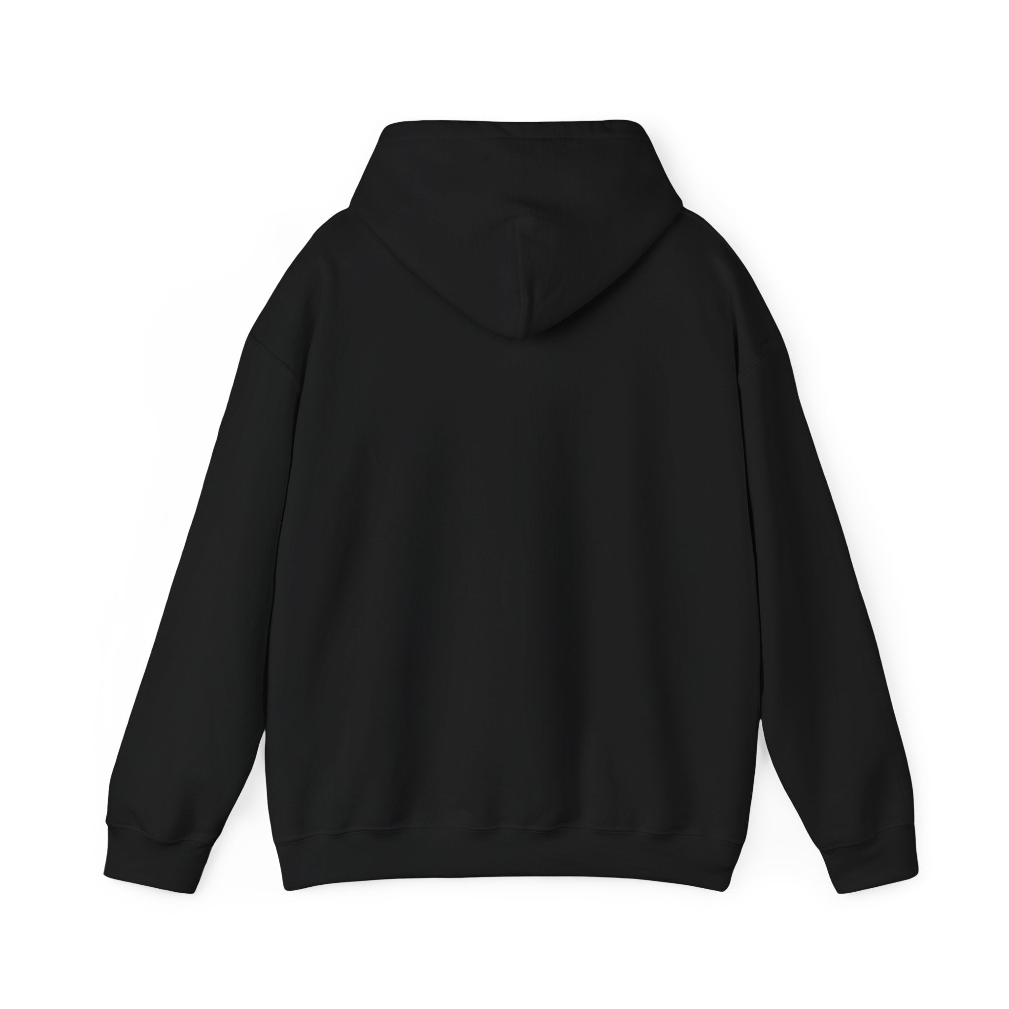 I Study Psychology Hoodie | office humor, meeting memes