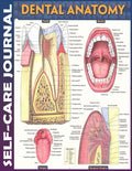 Self Care Journal: dental anatomy