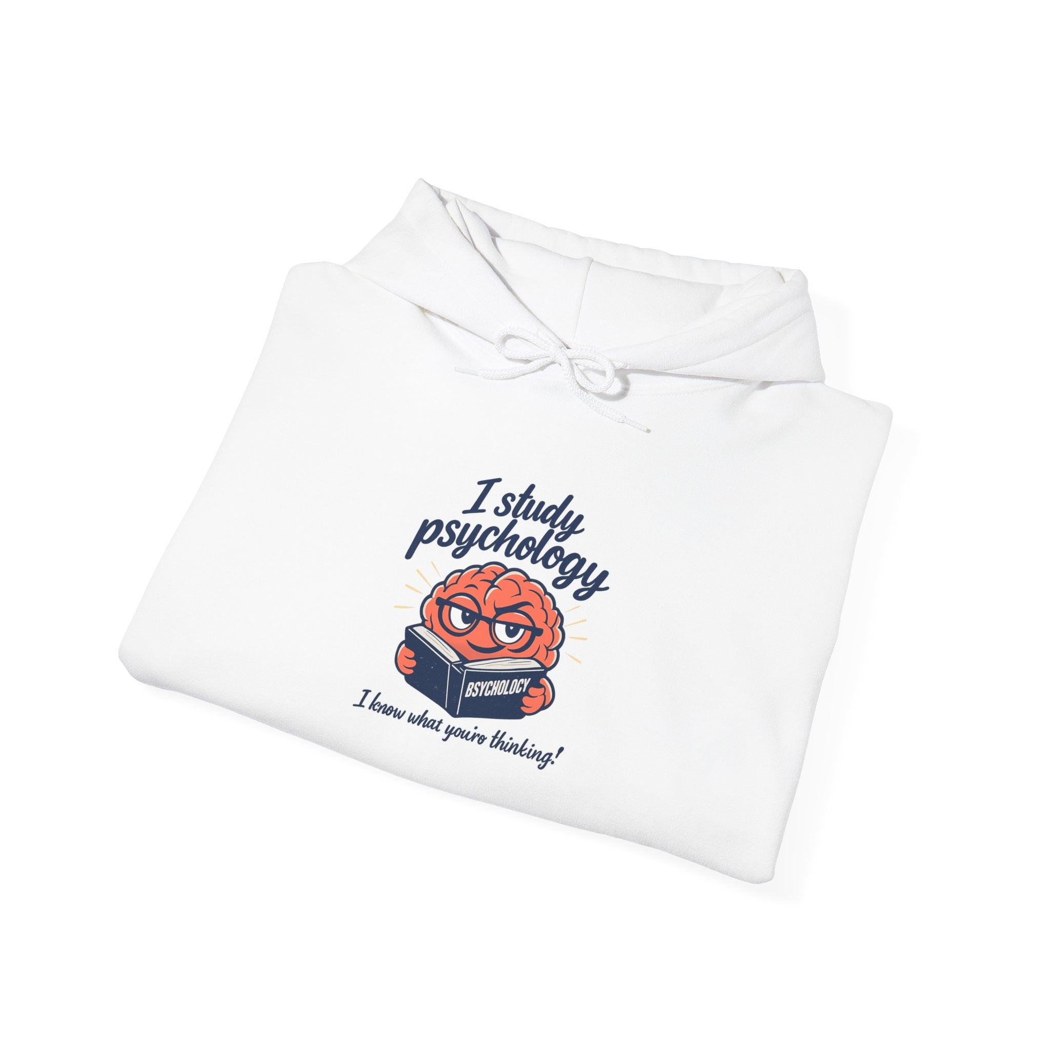I Study Psychology Hoodie | office humor, meeting memes