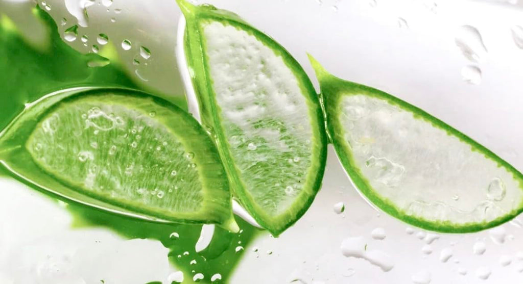 Dermasil Aloe Fresh Moisturizing Body Lotion