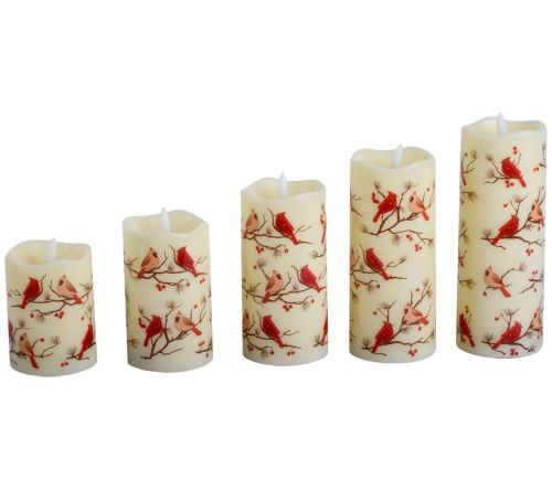 Temp-tations Seasonal Set of 5 Fiberoptic
